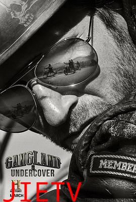 黑帮卧底第二季