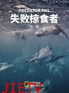 失败掠食者第一季