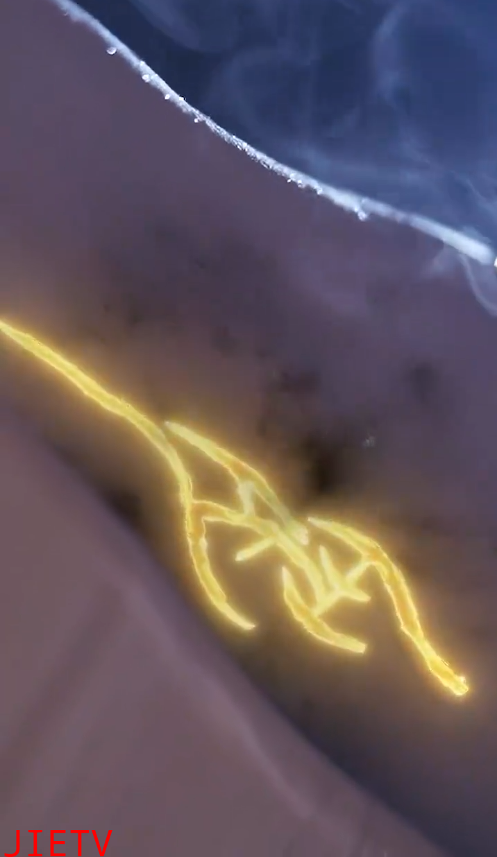 缘来仙妻就是你