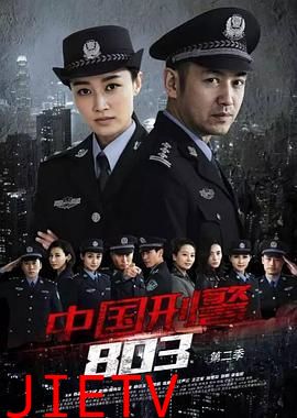 中国刑警803英雄本色