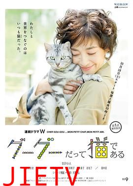 咕咕是一只猫第一季