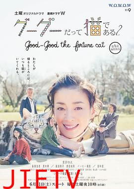 咕咕是一只猫第二季