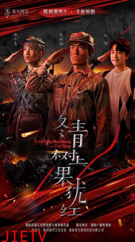 冬青树上果犹红