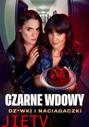 黑寡妇 风月陷阱