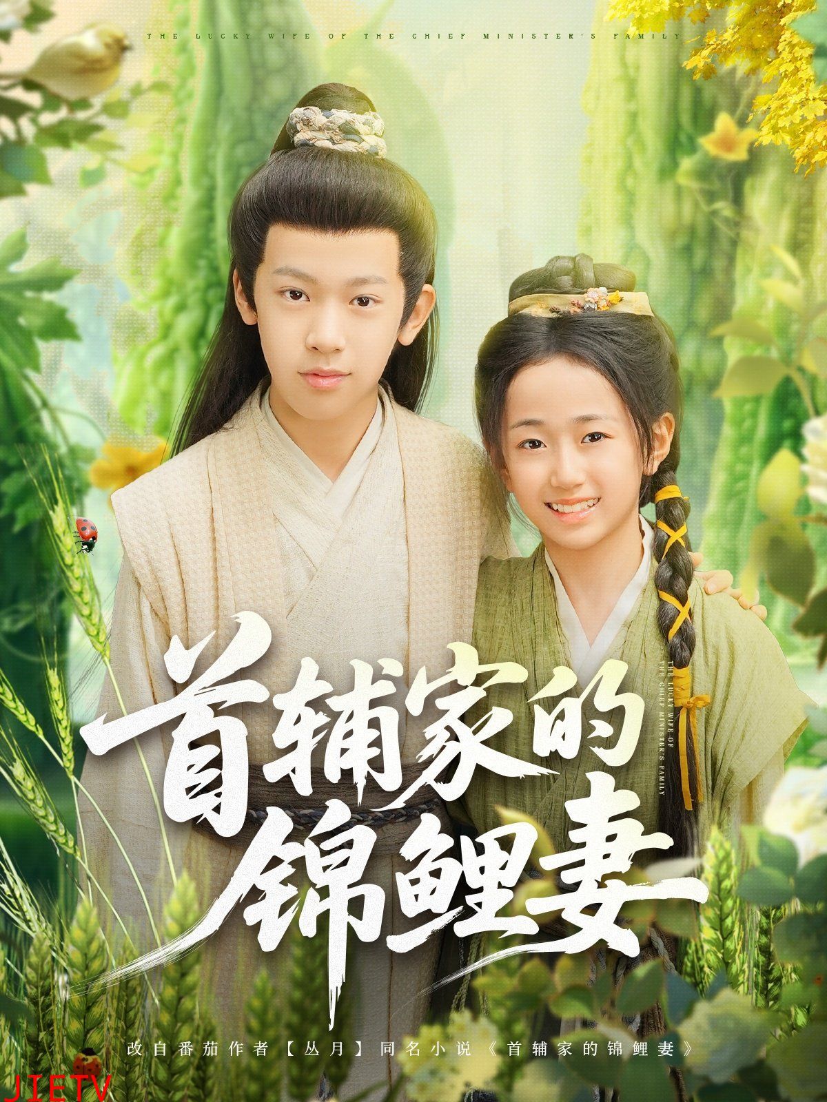 首辅家的锦鲤妻