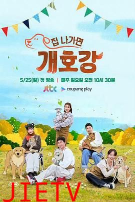 出门就是狗狗乐园