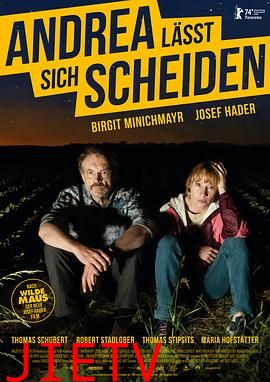 安德里亚离婚记