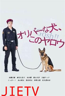 奥莉佛是狗,(天哪!!)这家伙