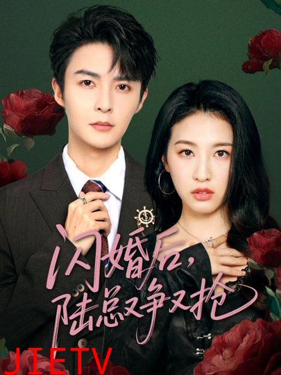 闪婚后陆总又争又抢