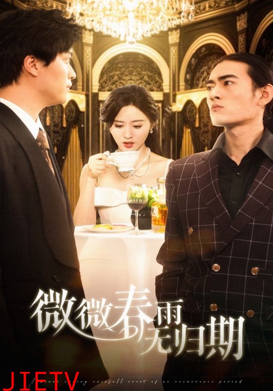 微微春雨无归期