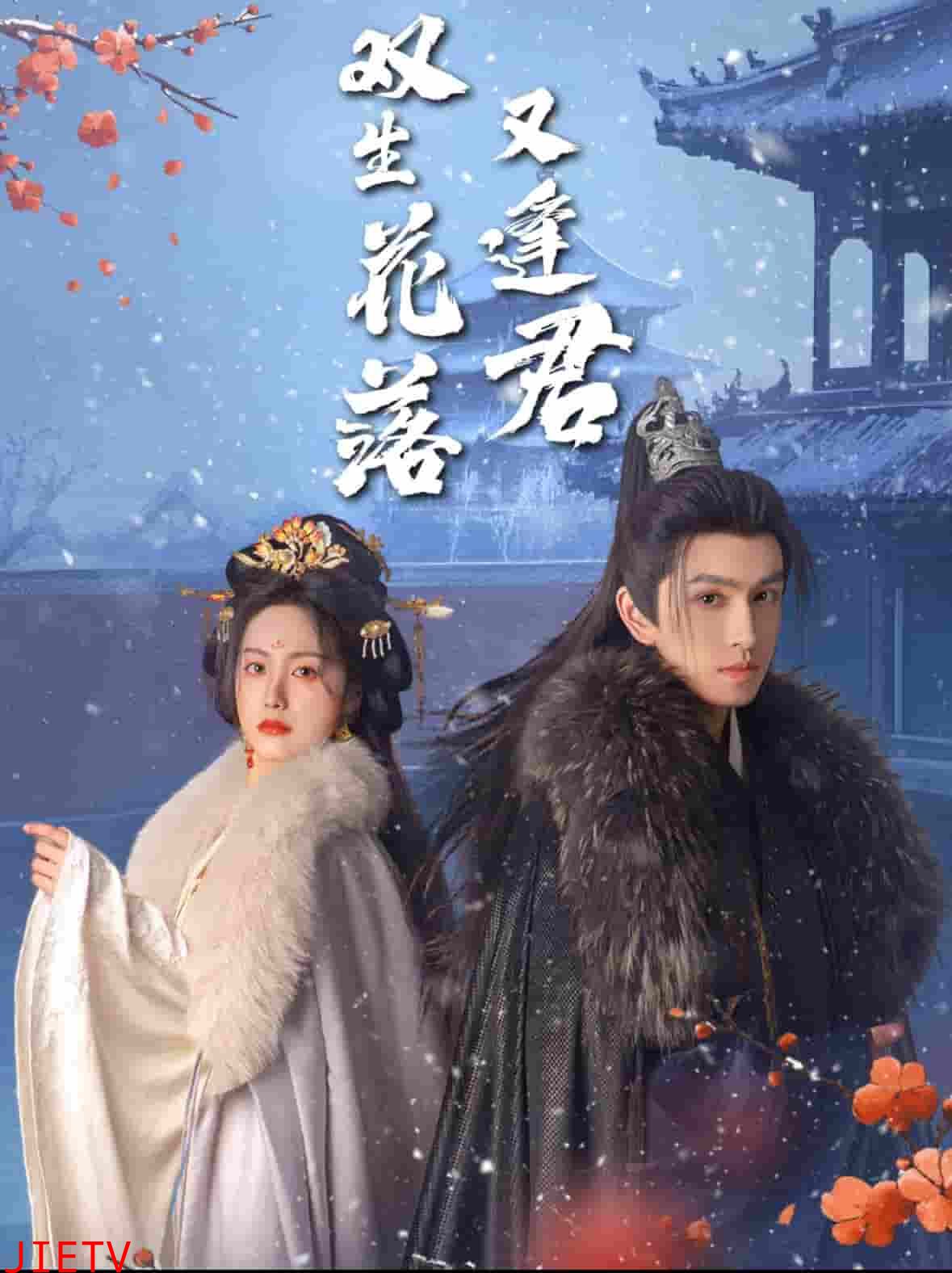 双生花落又逢君