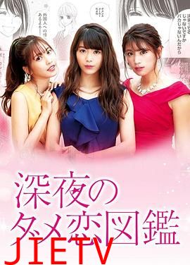 深夜的奇葩恋爱图鉴