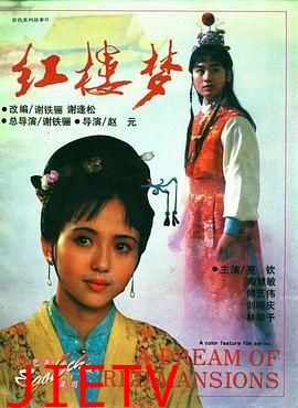 红楼梦第二部:黛玉葬花