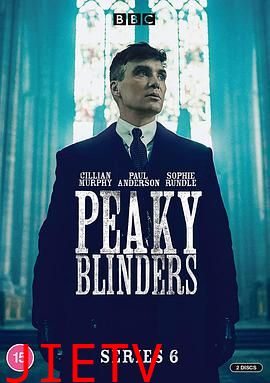 浴血黑帮第六季