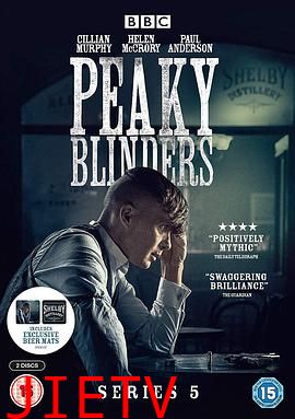 浴血黑帮 第五季