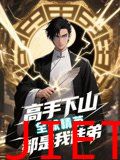高手下山全球精英都是我徒弟