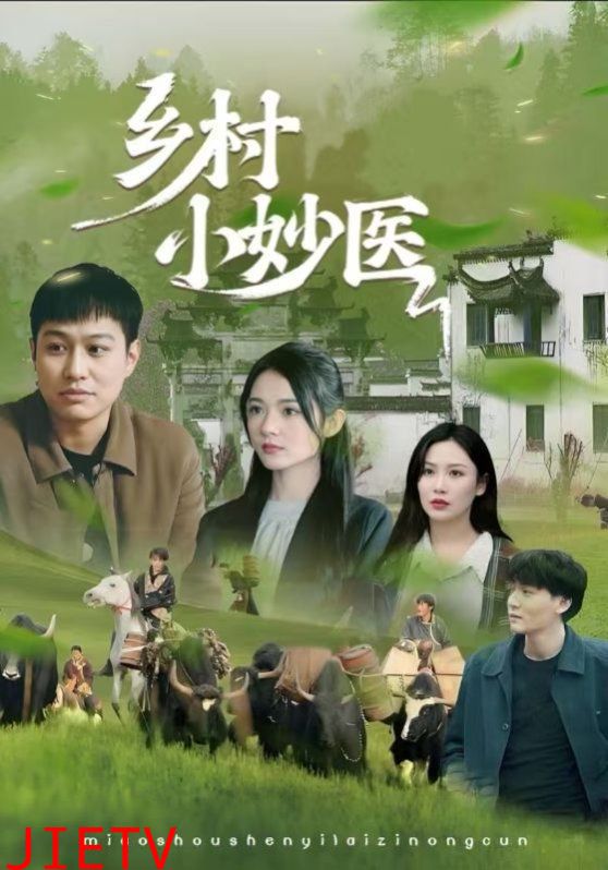 乡村小妙医