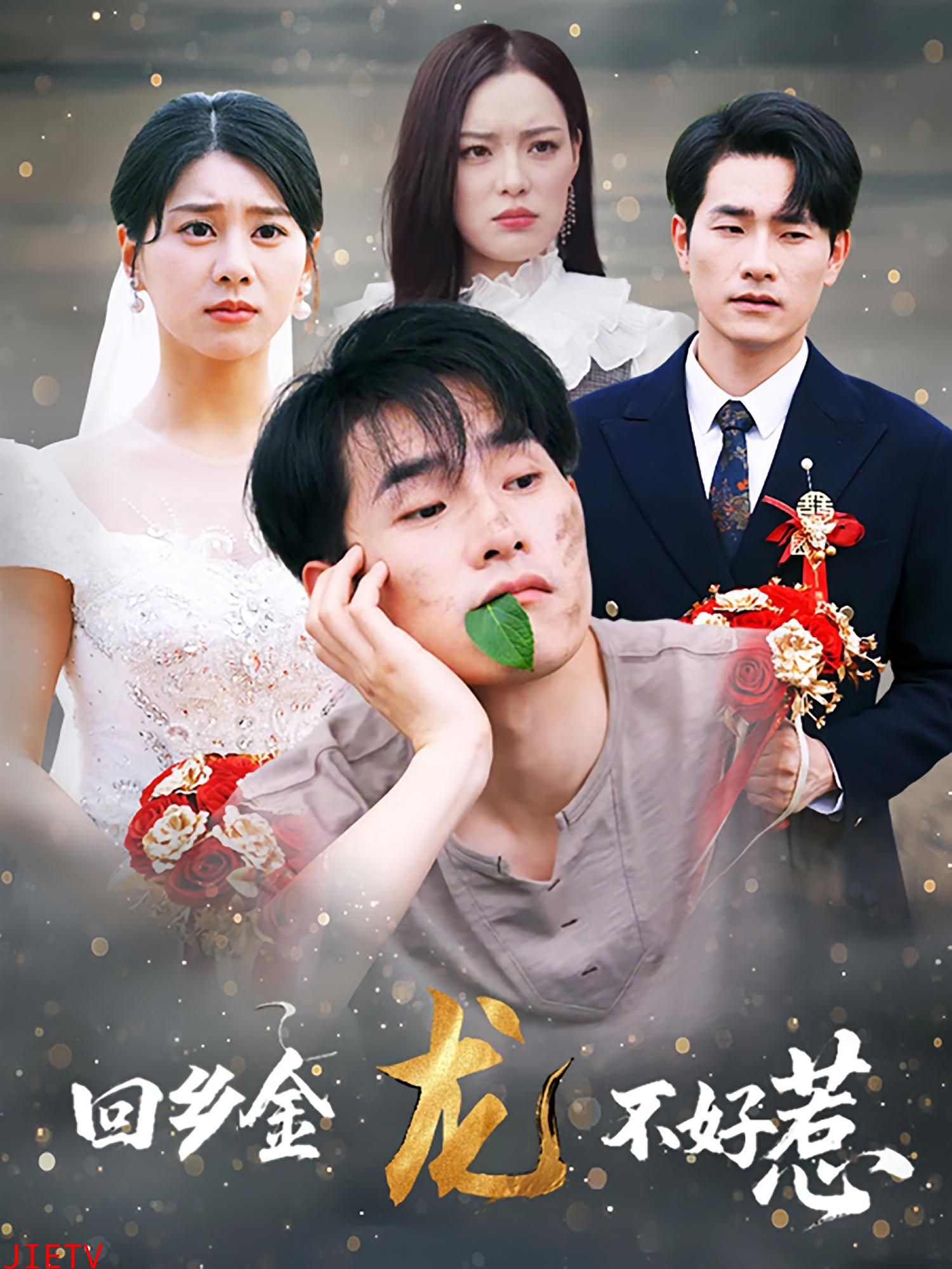 回乡金龙不好惹