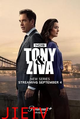 海军罪案调查处:欧洲喋血篇