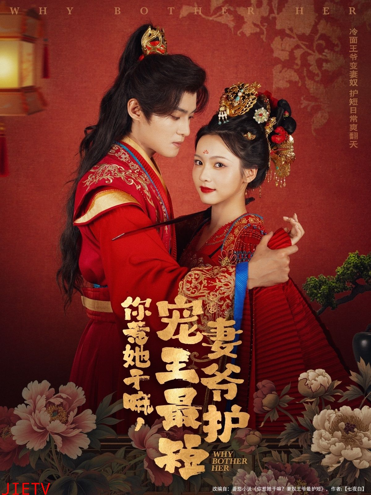 你惹她干嘛,宠妻王爷最护短