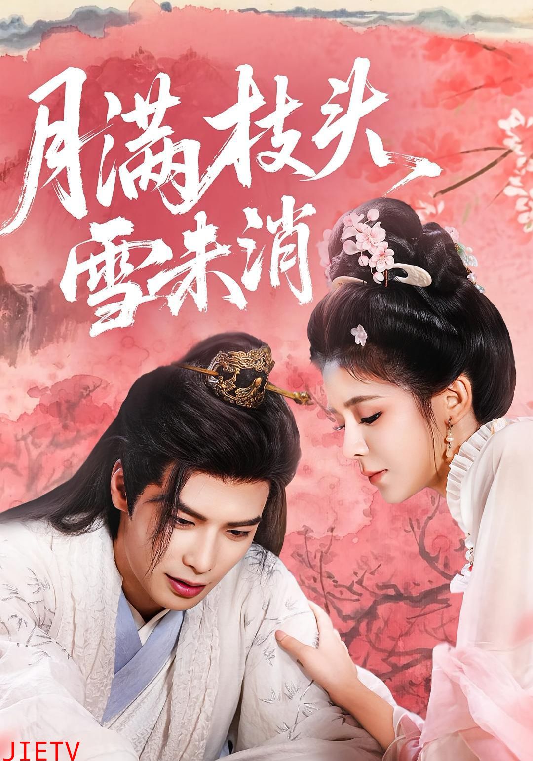 月满枝头雪未消