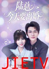 陆总今天要离婚