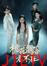 我下跪感谢小三替我怀孕（桃花散落君不在）