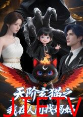 天阶玄猫之我在人间找妈妈