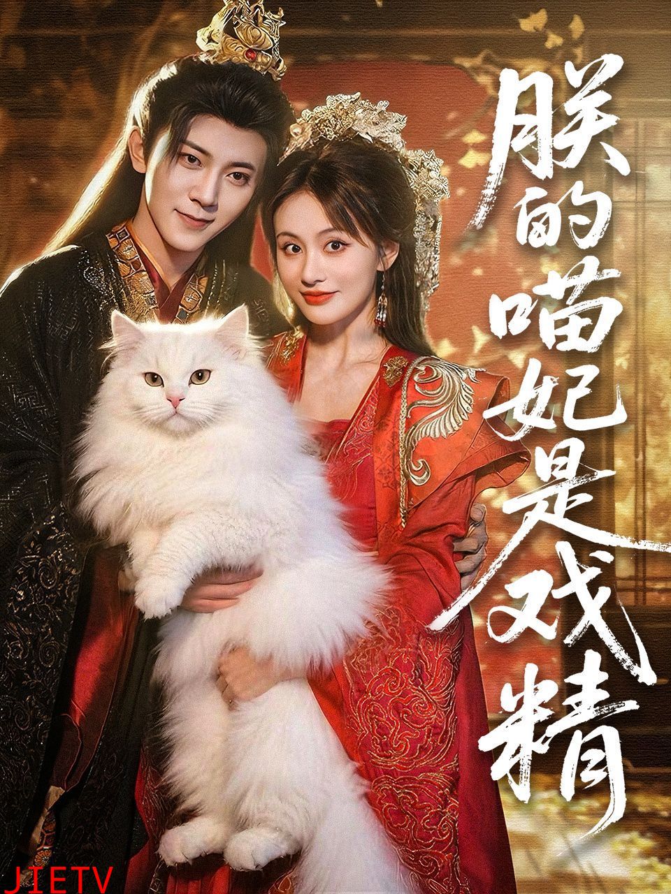 朕的喵妃是戏精