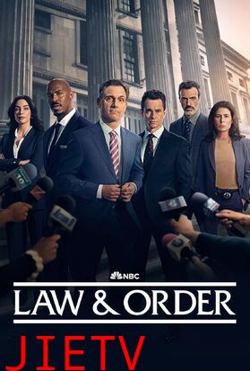 法律与秩序 第二十五季