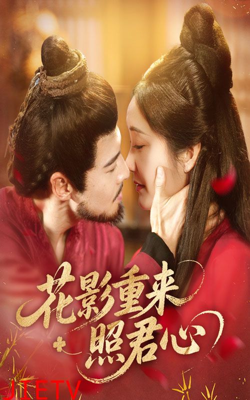 花影重来照君心