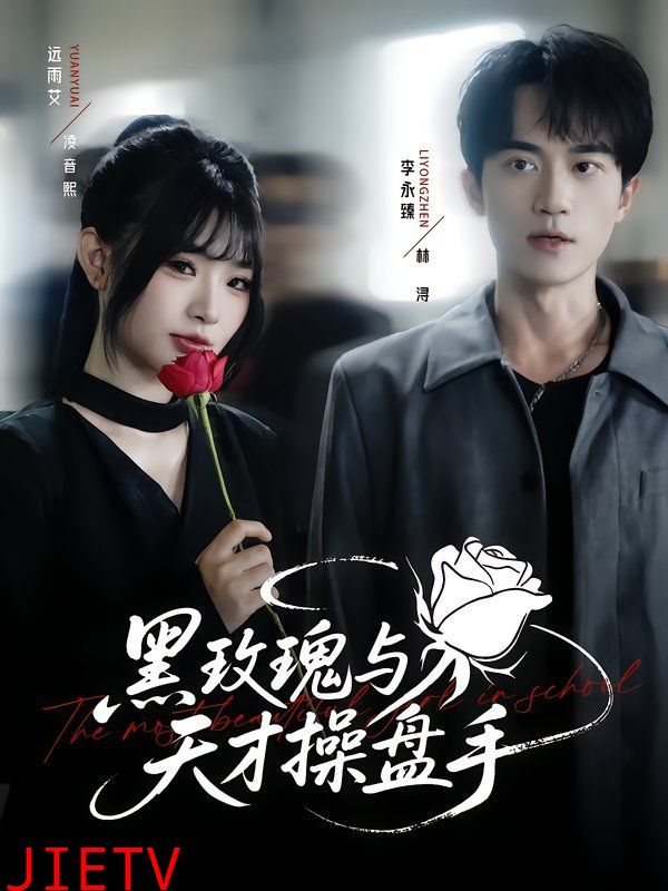 黑玫瑰与天才操盘手