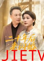 二十年后来闪婚
