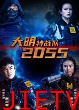 大明特战队2055