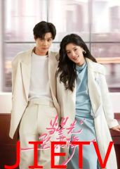 当星光坠入花海