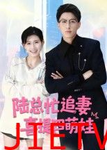 陆总忙追妻喜提四萌娃