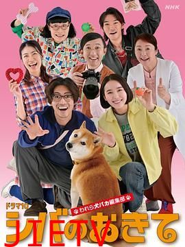 柴犬的规矩我们这群狗痴编辑部