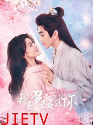 我在梦里爱过你
