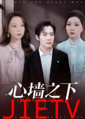 心墙之下