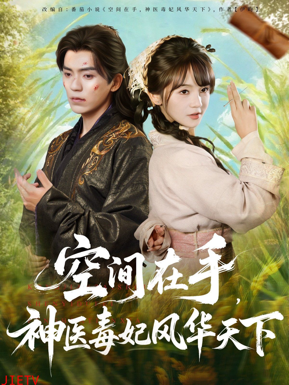 空间在手,神医毒妃风华天下