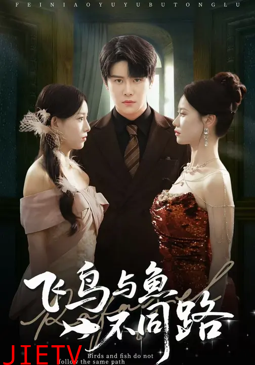 飞鸟与鱼不同路