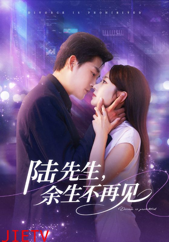 陆先生，余生不再见
