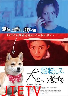 狗转了一圈 逃跑了