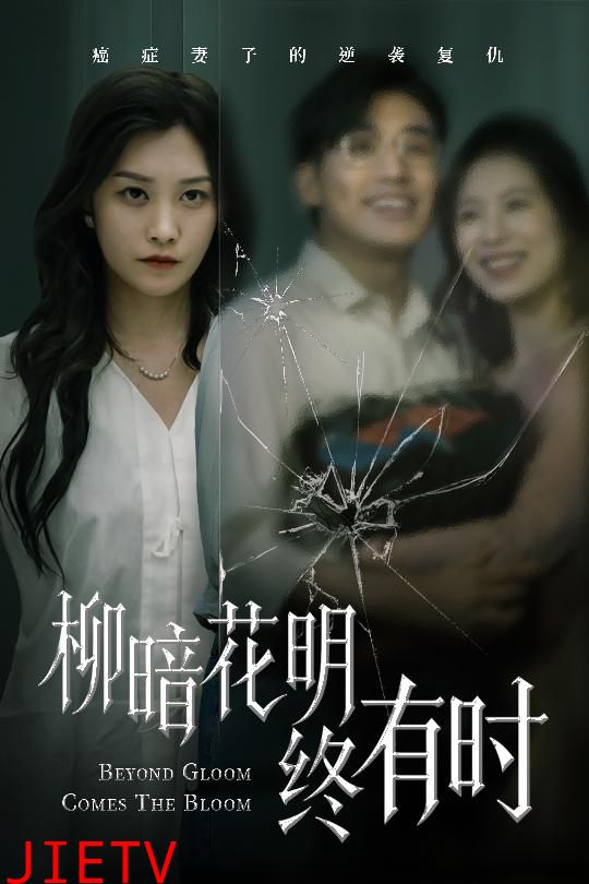 柳暗花明终有时