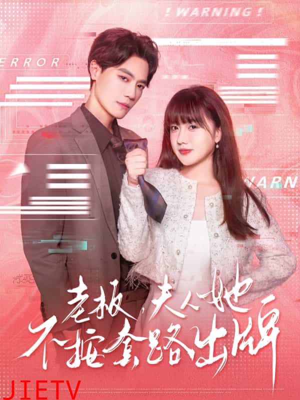 老板夫人她不按套路出牌