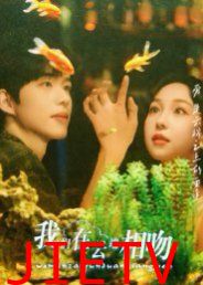 我们在云端相吻