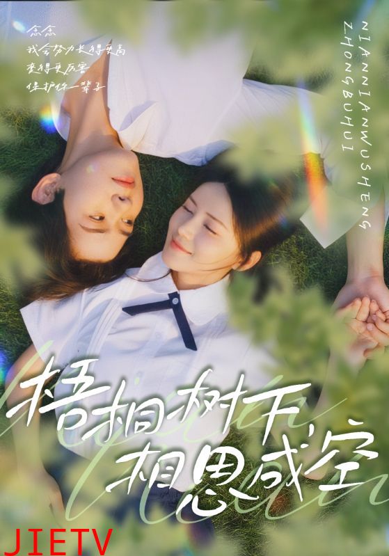 梧桐树下，相思成空