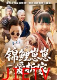 锦鲤崽崽爱拆家