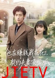 他在赚钱我在花，契约夫妻顶呱呱