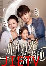 那年月光落满地